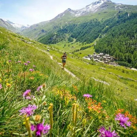 Au Bon Coin - Luxury Hidden Haven, Mont Blanc View, Hot Tub And Garden * Chamonix